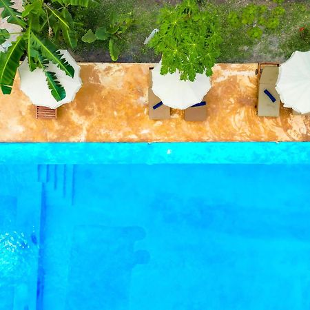 Bella Vista Resort Zanzibar キジカジ エクステリア 写真